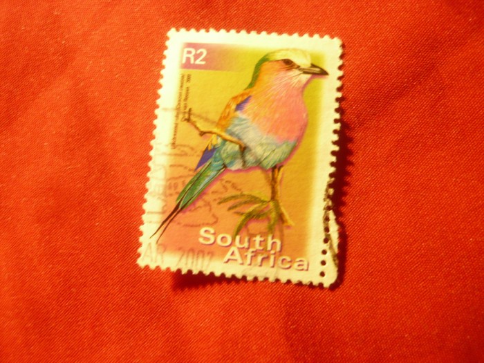 Timbru Africa de Sud 2000- Fauna - Pasare , val.2r stampilat