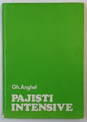 PAJISTI INTENSIVE , 1984 * PREZINTA PETE PE BLOCUL DE FILE foto