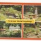 SG4 - Carte Postala - Germania, Oederan, Klein Erzgebirge, Circulata 1988