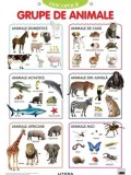 Grupe de animale. Descopera! (planse educationale)/***