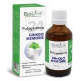 Polygemma 24 Ginkgo Memorie, 50 ml, Plant Extrakt, Plantextrakt