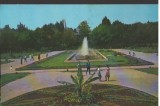 CPI B12507 CARTE POSTALA - BACAU . VEDERE DIN PARCUL LIBERTATII, Necirculata, Fotografie