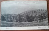 Carte postala, Saliste, vedere din Crinti, perioada interbelica
