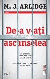 Cumpara ieftin De-a v-ati ascunselea | M.J. Arlidge