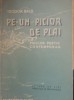 Pe-un picior de plai - Teodor Bals
