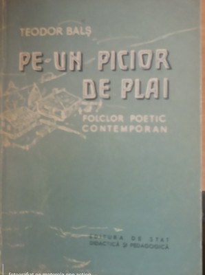 Pe-un picior de plai - Teodor Bals foto
