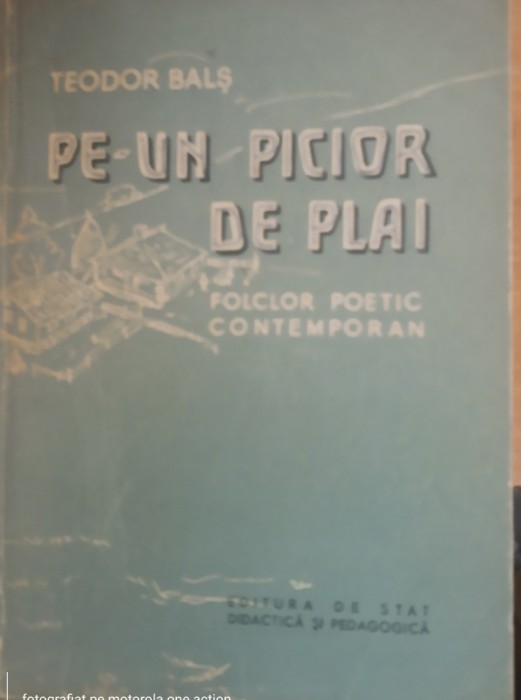 Pe-un picior de plai - Teodor Bals
