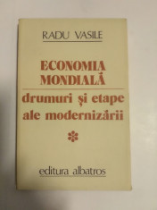 ECONOMIA MONDIALA , RADU VASILE foto