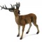 Cerb Rosu L - Animal figurina