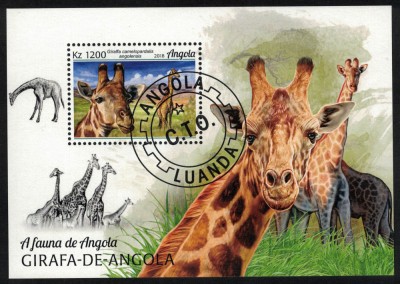 ANGOLA 2018 - Girafe / colita foto