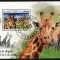ANGOLA 2018 - Girafe / colita