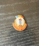 Insignă Colecție RSR &ndash; Instructor Sportiv CNEFS Anii 70-80