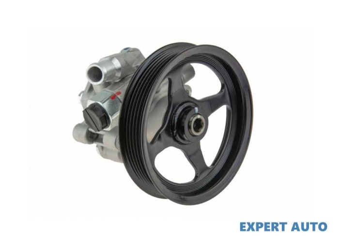 Pompa servo Cadillac SRX (2003-&gt;) #1