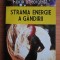 FLORIN GHEORGHIȚĂ - STRANIA ENERGIE A G&Acirc;NDIRII