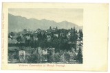 1565 - SINAIA, Prahova, Litho, ( varianta germana ) Romania - old postcard - unused
