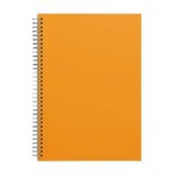 Caiet cu spira Ilijanum, A4, 60 file, matematica, 60g/mp, pp, 280 microni, portocaliu