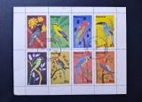 Nagaland (India) 1977 Serie Fauna Păsări Exotice / Papagali Bloc / Mini-Coală 8v Ștampilat Urra - A90