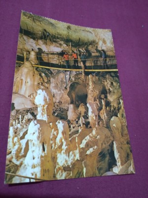 CARTE POSTALA BIHOR-PESTERA URSILOR CHISCAU NECIRCULATA foto
