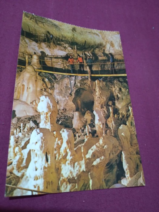CARTE POSTALA BIHOR-PESTERA URSILOR CHISCAU NECIRCULATA