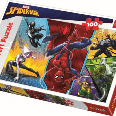 PUZZLE TREFL 100 SPIDERMAN SuperHeroes ToysZone
