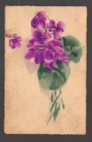 CPIB 20824 FELICITARE - BUCHET DE FLORI, NECIRCULATA