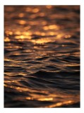Tablou Canvas, "Apus &icirc;n unduirile mării aurii", Aur, Apus, Reflexie, Valuri, Ocean, Lumina, Calma, Stralucire, Apă, Calda, 26 x 39 cm, CMCLASS