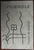 Cumpara ieftin FLORICELE: STRIGATURI DIN MICHERECHI(GYULA 1975/red.AL.HOTOPAN/desene ST.OROIAN)