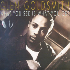 VINIL Glen Goldsmith ‎– What You See Is What You Get (VG+)