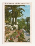 FA2 - Carte Postala - FRANTA - Vegetation Mediterraneenne, circulata 1993, Fotografie