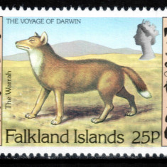 Falkland 1982, Mi #352**, fauna, lup, warrah, MNH! Cota 1,50 €!