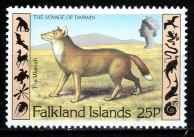 Falkland 1982, Mi #352**, fauna, lup, warrah, MNH! Cota 1,50 &amp;euro;! foto
