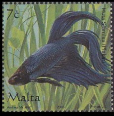 MALTA 2005 - 2006 , TIMBRE NESTAMPILATE , DEPARAIATE