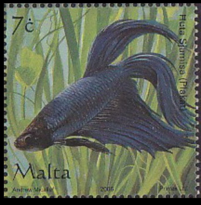 MALTA 2005 - 2006 , TIMBRE NESTAMPILATE , DEPARAIATE