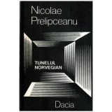 Nicolae Prelipceanu - Tunelul norvegian - Fragmente usor fantastice dintr-un roman realist mult mai amplu - 115958