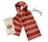 Accesorii Harry Potter - Esarfa, ochelari &amp; harta PlayLearn Toys, Rubies