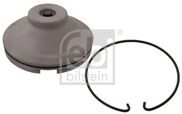 FEBI BILSTEIN 35181 capac de protectie,butuc roata