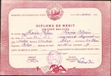 A1828 Diplomă școlară de merit, 1951, Oradea