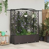 vidaXL Pat Ridicat cu Trellis și Acoperiș Maro 163 x 40 x 141 cm PP 42032513