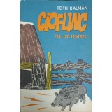 CIOFLINC, PUI DE MISTRET-TOTH KALMAN-238430