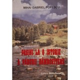 Mihai Gabriel Popescu - Pagini la o istorie a padurii Dambovitene (Editia: 2002)