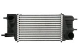Radiator intercooler NISSAN JUKE Van (F15) (2010 - 2019) THERMOTEC DA1013TT