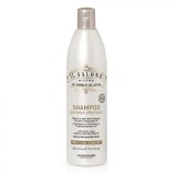 Sampon pentru par uscat si tern Il Salone Milano Glorious, 500ml, Alfaparf