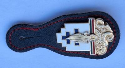 Legiunea straina, insigna militara veche acordata si romanilor foto