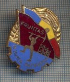 AX 873 INSIGNA - FRUNTAS IN MUNCA PATRIOTICA -PENTRU COLECTIONARI