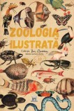 Zoologia Ilustrata: Enciclopedia ilustrată de Maria Carmen Soria - Carte