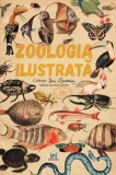 Zoologia ilustrata - Maria Carmen Soria