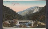 Carte Postala Herculane - Valea Cernei