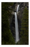 Tablou Canvas, "Cascada &icirc;n inima pădurii verzi", Cascadă, St&acirc;nci, Pădure, Apă, Natură, Verdeață, Peisaj, Tranquilitate, 26 x 39 cm, CMCLASS