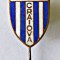 INSIGNA UNIVERSITATEA CRAIOVA EMAIL CALD