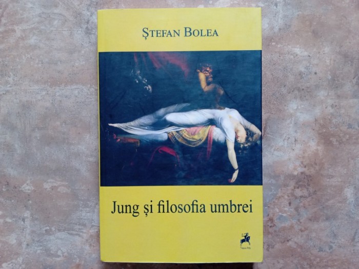 Jung si filosofia umbrei - Stefan Boltea